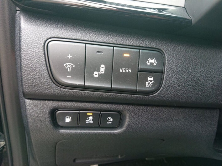 KIA Niro Plug-in Platin 1,6 GDI voll