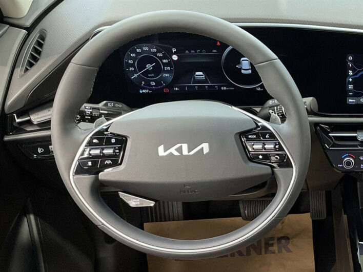 KIA Niro EV 64,8 KWh VISION voll